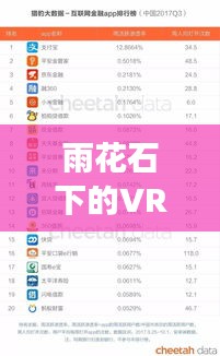 雨花石下的VR公司排行榜，最新排名及行業(yè)洞察