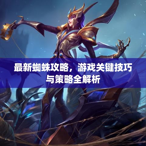 最新蜘蛛攻略，游戲關(guān)鍵技巧與策略全解析