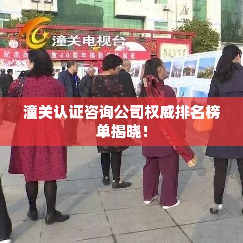 潼關(guān)認證咨詢公司權(quán)威排名榜單揭曉！