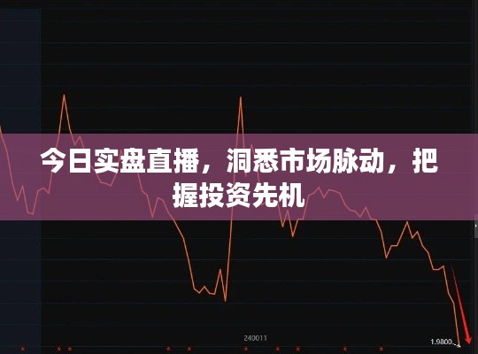 今日實(shí)盤直播，洞悉市場(chǎng)脈動(dòng)，把握投資先機(jī)