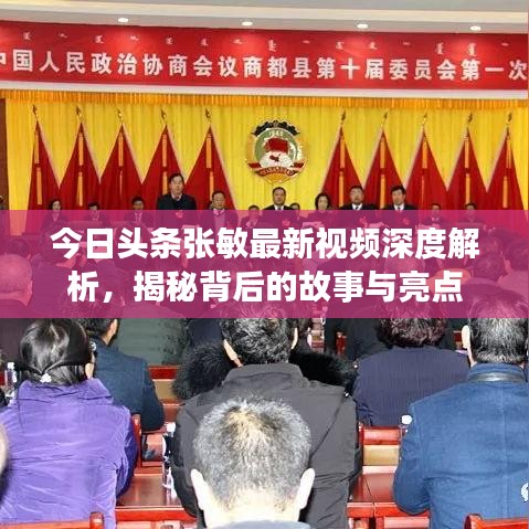 今日頭條張敏最新視頻深度解析，揭秘背后的故事與亮點(diǎn)