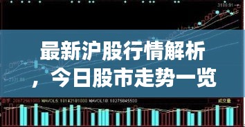 最新滬股行情解析，今日股市走勢一覽