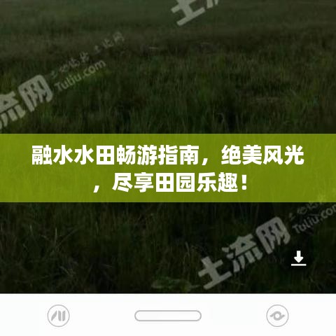 融水水田暢游指南，絕美風光，盡享田園樂趣！