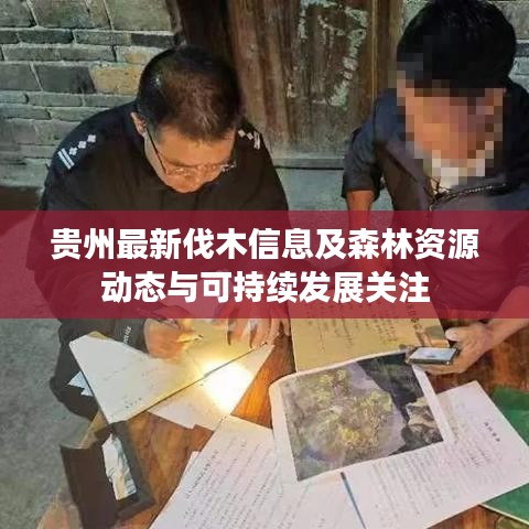 貴州最新伐木信息及森林資源動態(tài)與可持續(xù)發(fā)展關(guān)注