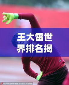 王大雷世界排名揭秘，中國足球的榮耀瞬間