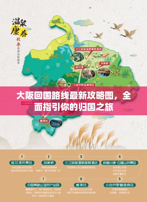 大阪回國(guó)路線最新攻略圖，全面指引你的歸國(guó)之旅