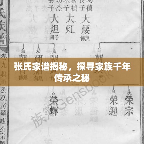 張氏家譜揭秘，探尋家族千年傳承之秘