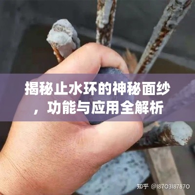 揭秘止水環(huán)的神秘面紗，功能與應用全解析