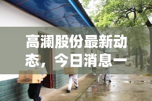 高瀾股份最新動(dòng)態(tài)，今日消息一覽