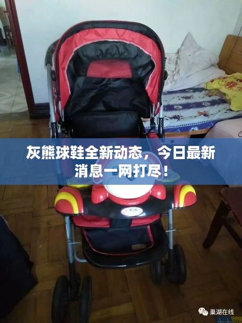 灰熊球鞋全新動態(tài)，今日最新消息一網打盡！