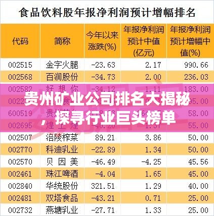 貴州礦業(yè)公司排名大揭秘，探尋行業(yè)巨頭榜單