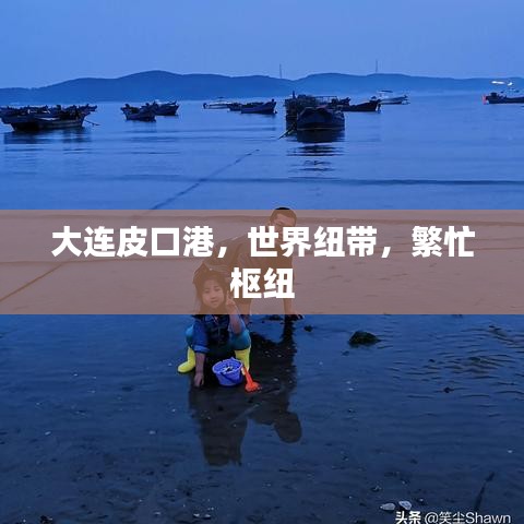 大連皮口港，世界紐帶，繁忙樞紐