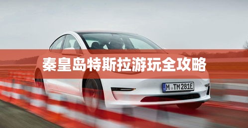 東張西望 第3頁