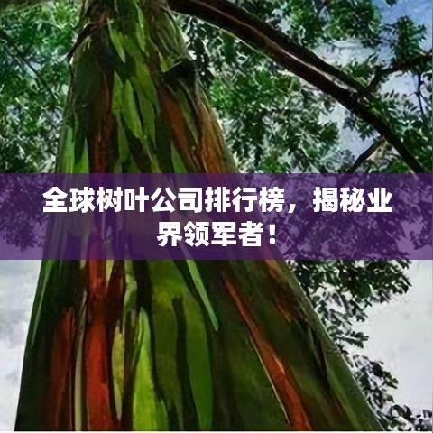 全球樹(shù)葉公司排行榜，揭秘業(yè)界領(lǐng)軍者！