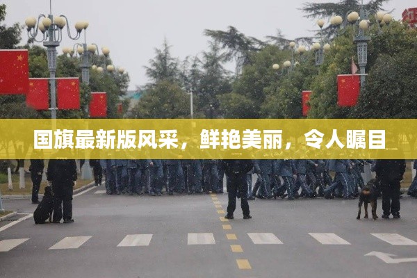 國旗最新版風(fēng)采，鮮艷美麗，令人矚目