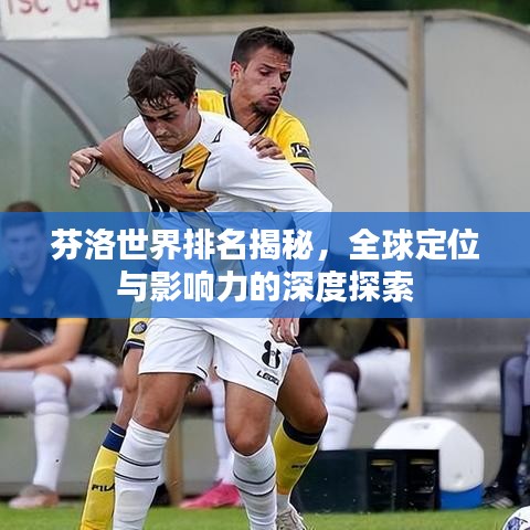 芬洛世界排名揭秘，全球定位與影響力的深度探索