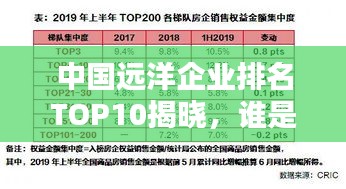 中國(guó)遠(yuǎn)洋企業(yè)排名TOP10揭曉，誰(shuí)是行業(yè)巨頭？