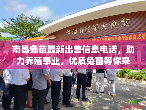 南昌兔苗最新出售信息電話，助力養(yǎng)殖事業(yè)，優(yōu)質(zhì)兔苗等你來選！