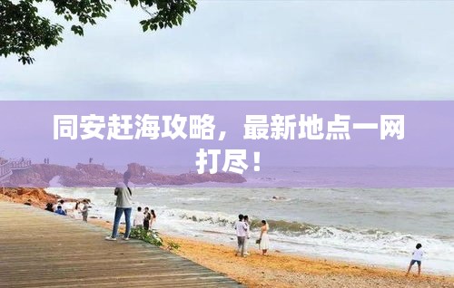 同安趕海攻略，最新地點(diǎn)一網(wǎng)打盡！