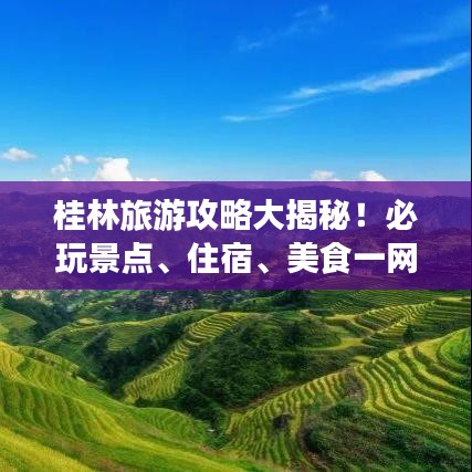 桂林旅游攻略大揭秘！必玩景點、住宿、美食一網(wǎng)打盡！