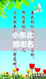 小東北勵(lì)志名言，激發(fā)無(wú)限潛能的短句