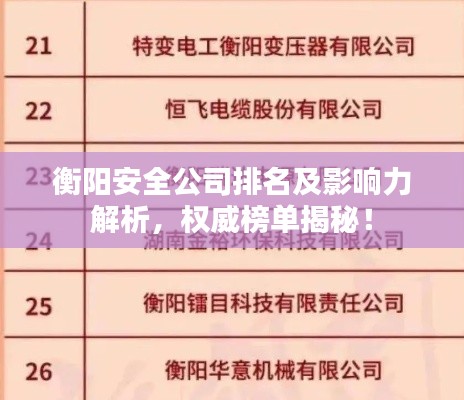 衡陽安全公司排名及影響力解析，權(quán)威榜單揭秘！