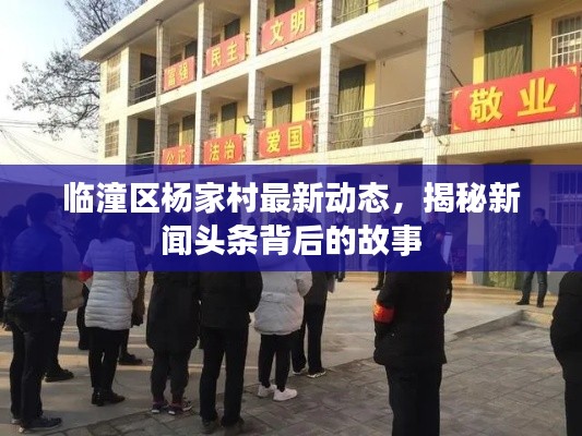 臨潼區(qū)楊家村最新動(dòng)態(tài)，揭秘新聞?lì)^條背后的故事