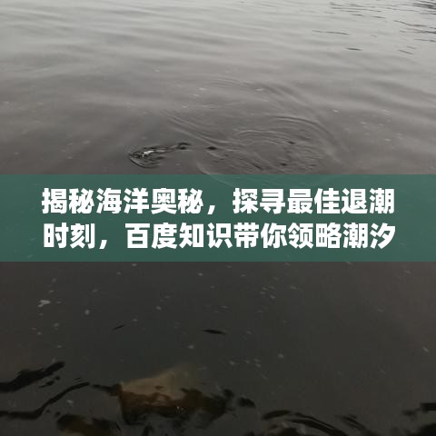 揭秘海洋奧秘，探尋最佳退潮時(shí)刻，百度知識帶你領(lǐng)略潮汐魅力