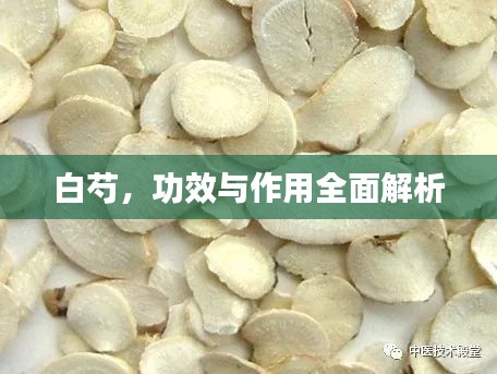 白芍，功效與作用全面解析