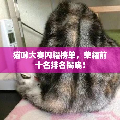 尊師貴道 第2頁