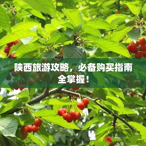 陜西旅游攻略，必備購(gòu)買(mǎi)指南全掌握！