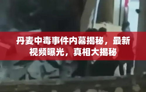 丹麥中毒事件內(nèi)幕揭秘，最新視頻曝光，真相大揭秘