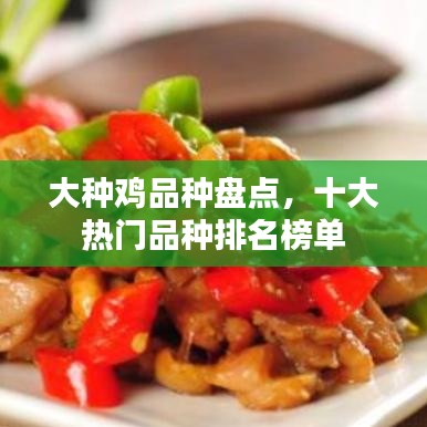 大種雞品種盤點(diǎn)，十大熱門品種排名榜單