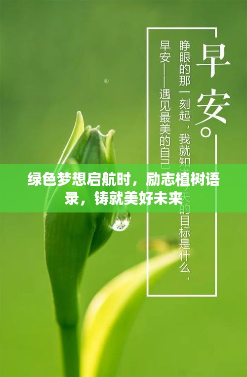 綠色夢(mèng)想啟航時(shí)，勵(lì)志植樹語(yǔ)錄，鑄就美好未來(lái)