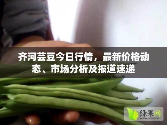 齊河蕓豆今日行情，最新價(jià)格動(dòng)態(tài)、市場(chǎng)分析及報(bào)道速遞