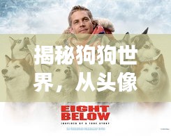 揭秘狗狗世界，從頭像圖片開啟的奇妙探險(xiǎn)之旅