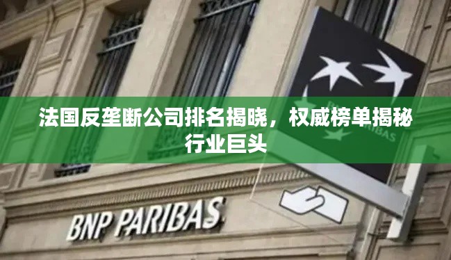 法國(guó)反壟斷公司排名揭曉，權(quán)威榜單揭秘行業(yè)巨頭