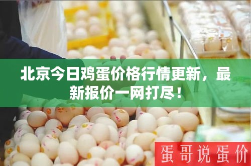 北京今日雞蛋價(jià)格行情更新，最新報(bào)價(jià)一網(wǎng)打盡！