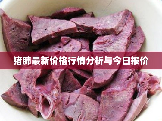 豬肺最新價(jià)格行情分析與今日?qǐng)?bào)價(jià)