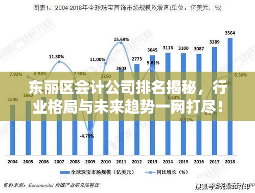 東麗區(qū)會(huì)計(jì)公司排名揭秘，行業(yè)格局與未來趨勢(shì)一網(wǎng)打盡！