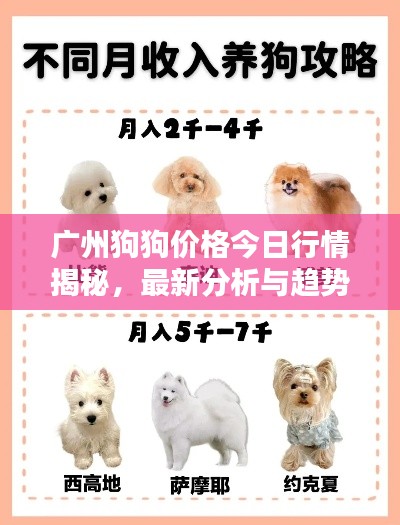 廣州狗狗價(jià)格今日行情揭秘，最新分析與趨勢(shì)預(yù)測