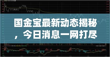 國金寶最新動態(tài)揭秘，今日消息一網(wǎng)打盡