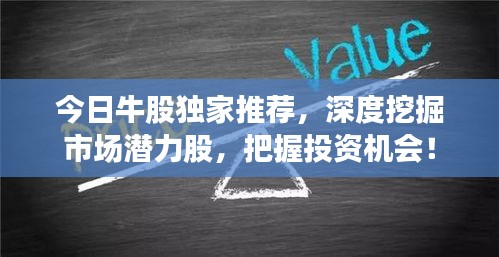 今日牛股獨家推薦，深度挖掘市場潛力股，把握投資機會！