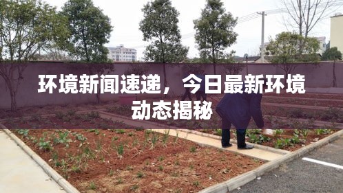 環(huán)境新聞速遞，今日最新環(huán)境動(dòng)態(tài)揭秘