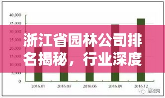 浙江省園林公司排名揭秘，行業(yè)深度分析與評估