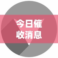 今日催收消息重磅更新，最新動態(tài)一覽