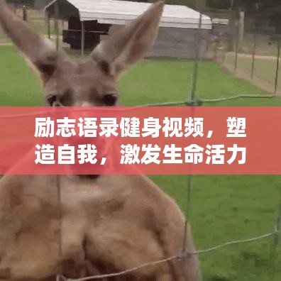 勵志語錄健身視頻，塑造自我，激發(fā)生命活力
