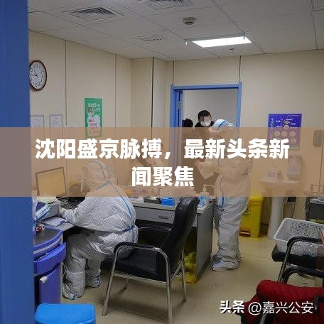 沈陽(yáng)盛京脈搏，最新頭條新聞聚焦