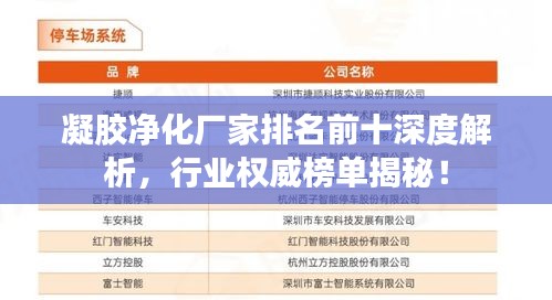 凝膠凈化廠家排名前十深度解析，行業(yè)權威榜單揭秘！