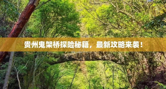 貴州鬼架橋探險(xiǎn)秘籍，最新攻略來(lái)襲！